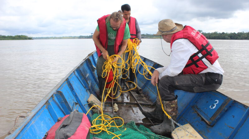 peces de la Amazonía exhiben concentraciones de metales pesados que superan los estándares recomendados