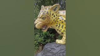 (publivideo) Dame un Grr este sanado en la inauguración del puente en Mera