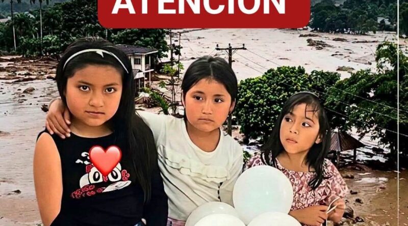 ZamoraChinchipe: Tres niñas quedaron huérfanas de padre y madre tras la tragedia de