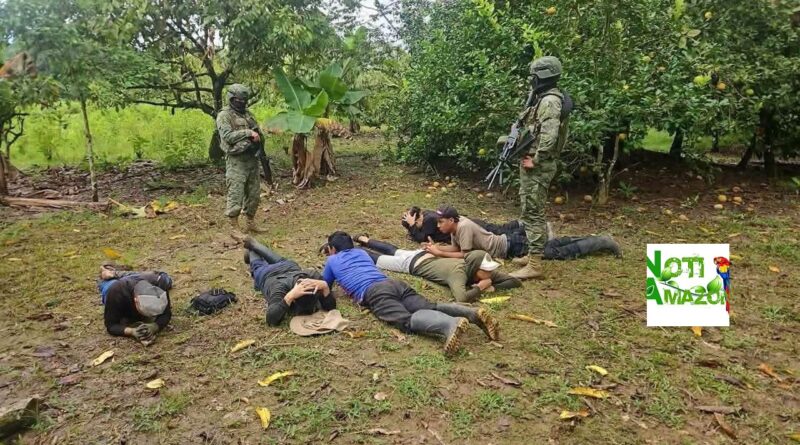 Sucumbíos: ejército destruye 60 mil plantas de coca en frontera norte